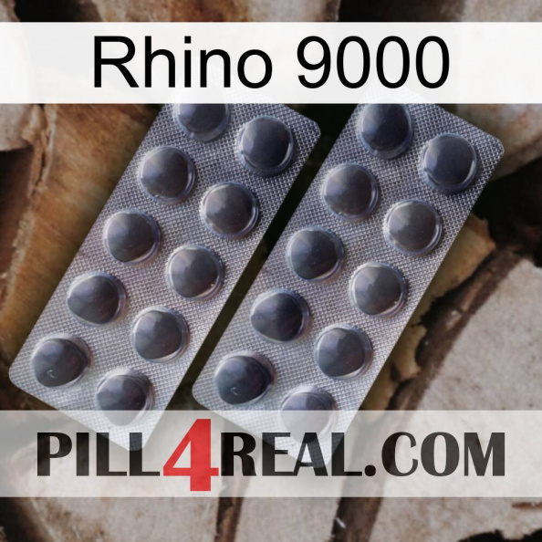 Rhino 9000 31.jpg